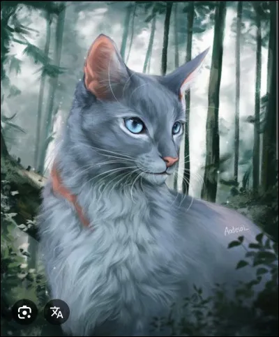 Quel est le nom de guerrière dÉtoile Bleue ?