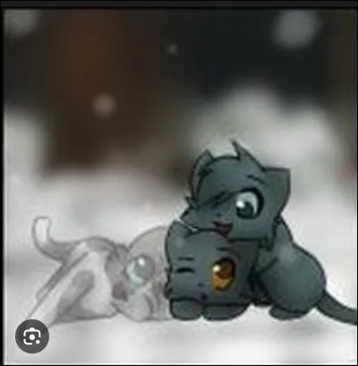 A-t-elle des chatons ? Si oui, lesquels ?