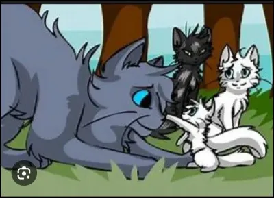 Qui est le neveu dÉtoile Bleue ?