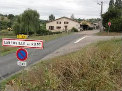 Nous sommes en Lorraine, à l'entrée de Laneuville-au-Rupt. Village de l'aire d'attraction Commercienne, il se situe dans le département ...