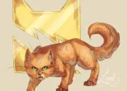 Quiz LGDC - De quel clan est ce chat ?