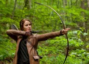 Quiz Es-tu vraiment fan de ''Hunger Games'' ?