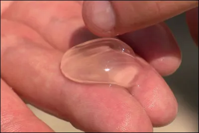 Quelle matière visqueuse est obtenue à partir des baies de gui ?