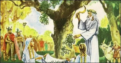 Quels chefs religieux coupaient le gui avec une faucille d'or lors de cérémonies rituelles ?