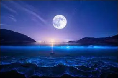 Veux-tu qu'il hurle à la pleine lune ?