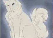 Quiz LGDC - Connais-tu bien Tornade Blanche ?