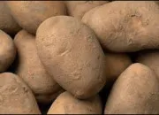 Quiz Avez-vous la patate ?