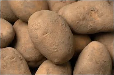 De quel continent est originaire la pomme de terre ou patate ?