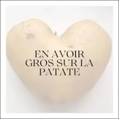 Que signifie l'expression "en avoir gros sur la patate" ?