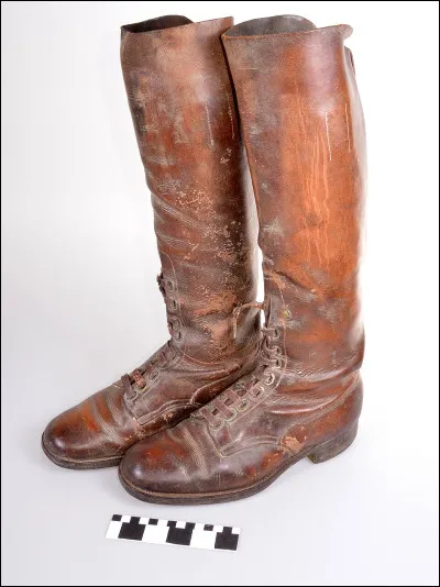 Qui Ron Howard met-il en folie dans son film de 1982 ?