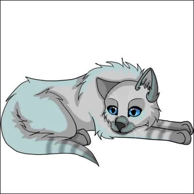 Quel est son nom anglais ?