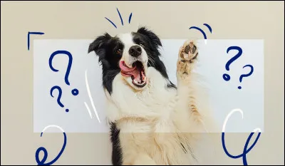 Question facile : quel domaine appelle-t-on le septième art ?