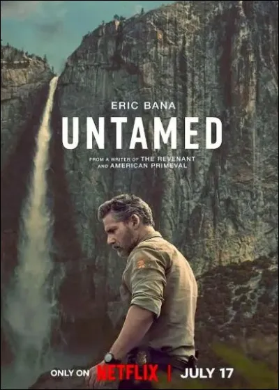 Quelle série policière, diffusée sur Netflix, est illustrée par ce poster ?