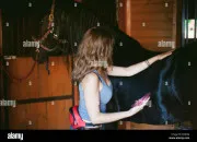 Test Quelle race de chevaux es-tu ?