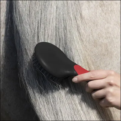 Quelle crinière aimes-tu ?