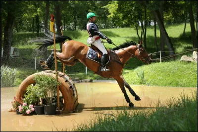 Quelle est ta discipline préférée ?