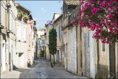 Dans quelle ville était Tartarin d'Alphonse Daudet ?
