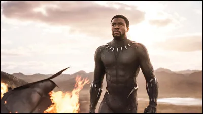 Quel acteur a incarn&eacute; le super-h&eacute;ros "Black Panther" au cin&eacute;ma ?