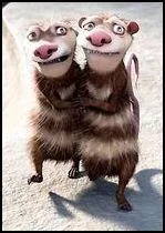 Quels sont les noms de ces 2 irresistibles oppossums ?