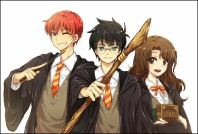 De quelle couleur sont tes cheveux ? 1/2