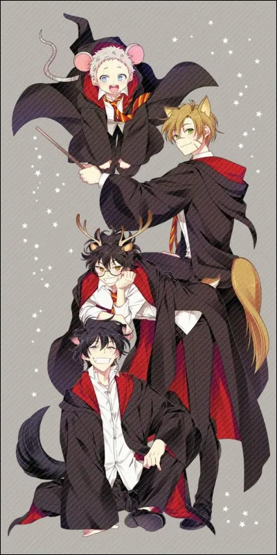 Quel mot te définit le plus ? 2/3