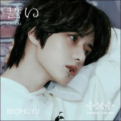 Quel est l'animal de compagnie de Beomgyu ?