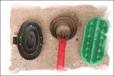 Comment s'appellent ces brosses ?