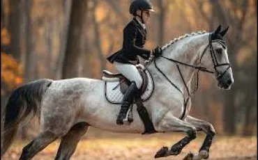 Quiz Equitation