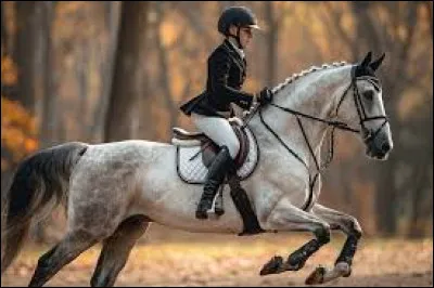 À quelle age minimum peut-on avoir le Galop 5 ?