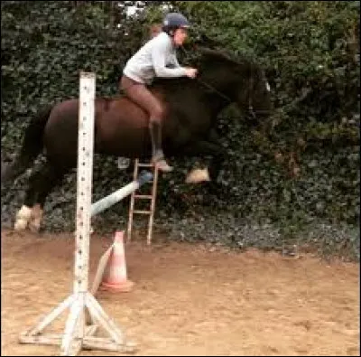 Quelle hauteur faut-il sauter pour obtenir le Galop 5 ?