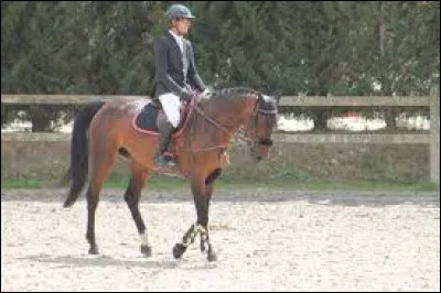 Que sera le plus dur à apprendre sur le Galop 5 ?