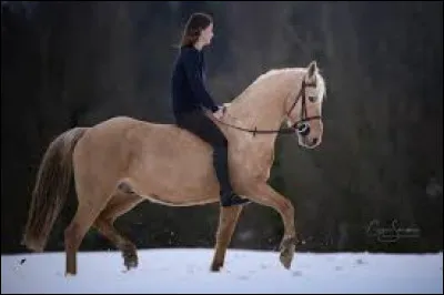 Quel est le nom de cette montée ?