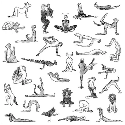 Lequel de ces animaux ne désigne pas une posture de yoga ?