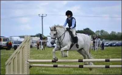 Quelle hauteur maximale faut-il sauter au Galop 1 ?