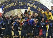 Quiz La coupe