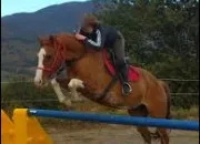 Quiz Galop 2