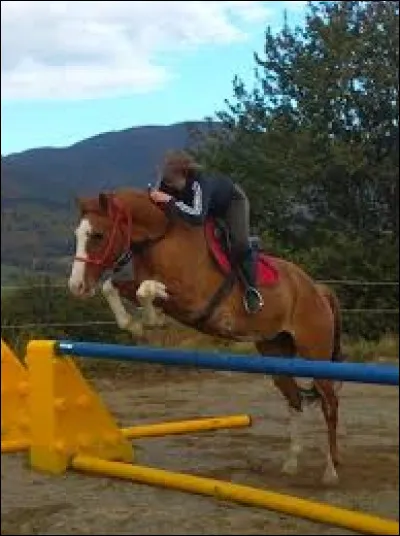 Quelle hauteur minimale faut-il savoir sauter au Galop 2 ?