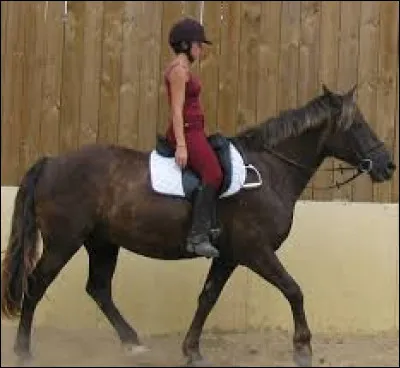 Qu'est-ce que l'assiette en équitation ?