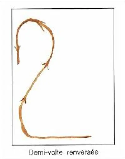 Quelle est cette figure de manège ?