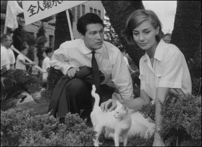 Quelle écrivaine est l'auteure de "Hiroshima mon amour" ?