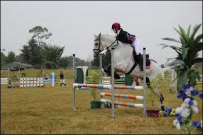 Quelle hauteur faut-il sauter pour le Galop 3 ?