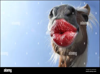 Que veut dire cringe ?