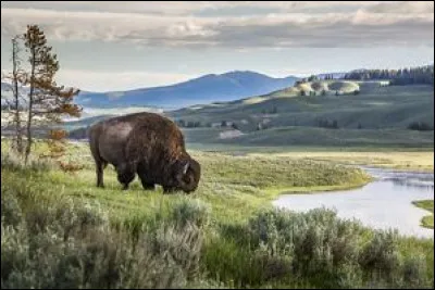 Dans quel état se situe en majorité le parc de Yellowstone ?