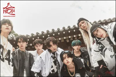 En quelle année le groupe Stray Kids a-t-il été créé ?