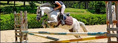 Comment appelle-t-on cet obstacle ?