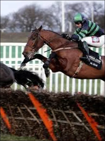 Comment s'appelle cette discipline en équitation ?