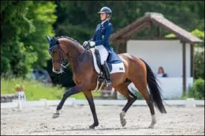 Comment s'appelle cette discipline en &eacute;quitation ?