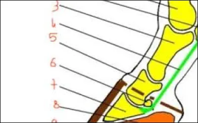 Comment s'appelle la partie en 1 ?