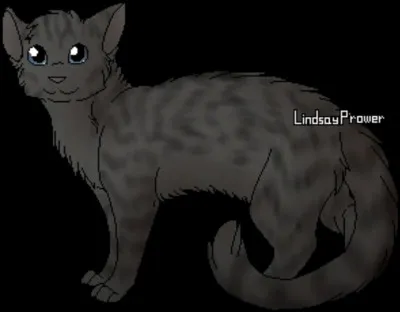 Quel est son nom de chatonne ?