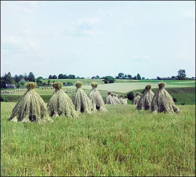 Les deux tiers ont l'R.